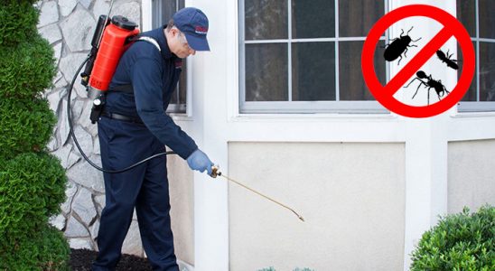 Ömerli Pire İlaçlama böcek ilaçlama ve haşere kontrolü — ilaclama-tr.com